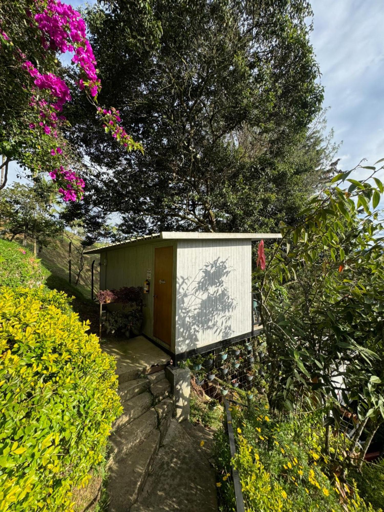 Hotel La Madriguera Guatapé Exteriér fotografie